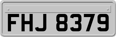 FHJ8379