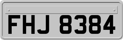 FHJ8384