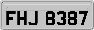 FHJ8387