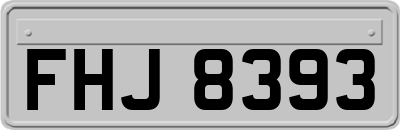 FHJ8393