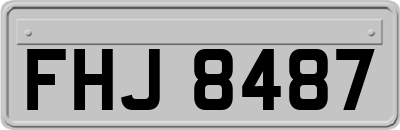 FHJ8487