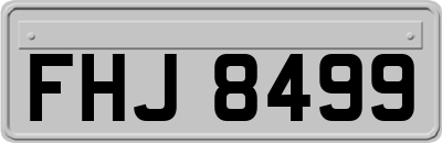 FHJ8499