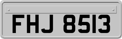 FHJ8513