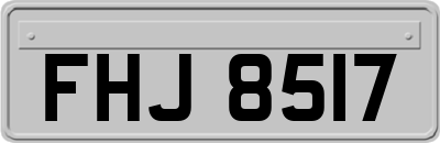 FHJ8517
