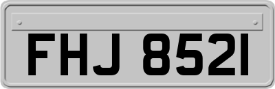 FHJ8521