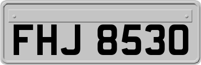 FHJ8530
