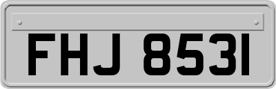 FHJ8531