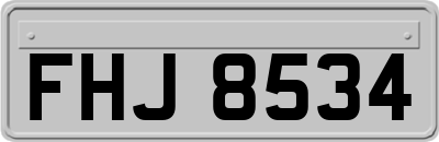 FHJ8534