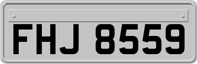 FHJ8559