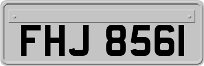 FHJ8561