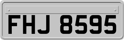 FHJ8595
