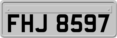 FHJ8597
