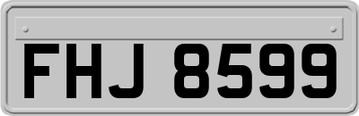 FHJ8599