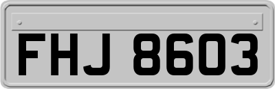 FHJ8603