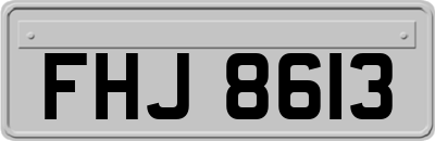 FHJ8613