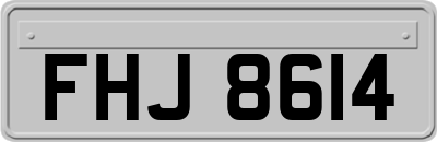 FHJ8614