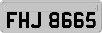 FHJ8665