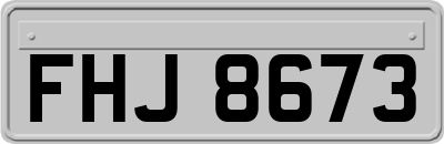FHJ8673