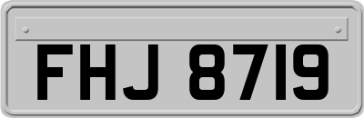 FHJ8719