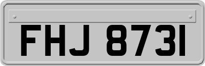 FHJ8731
