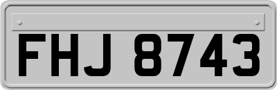 FHJ8743