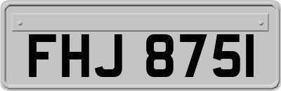 FHJ8751
