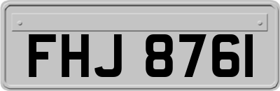 FHJ8761