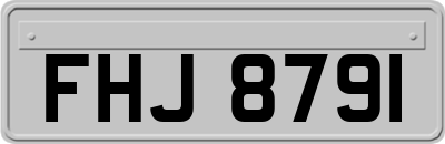 FHJ8791