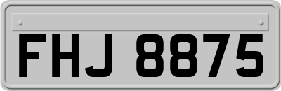 FHJ8875