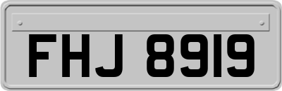 FHJ8919