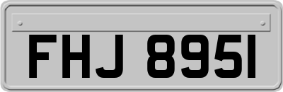 FHJ8951