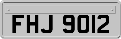 FHJ9012