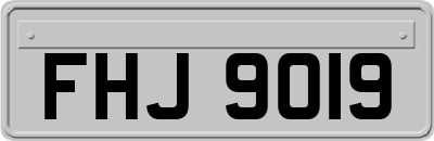 FHJ9019