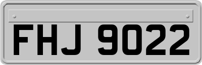 FHJ9022