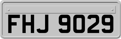 FHJ9029