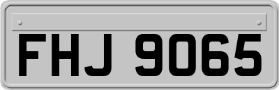 FHJ9065