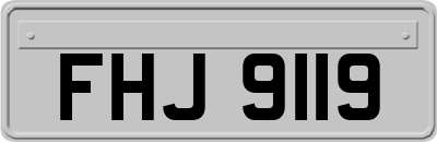 FHJ9119