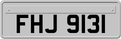 FHJ9131