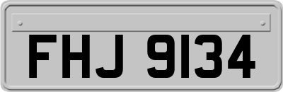 FHJ9134