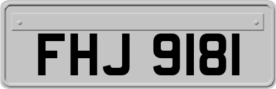 FHJ9181