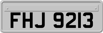 FHJ9213
