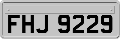 FHJ9229