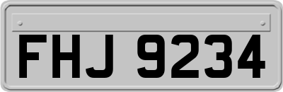 FHJ9234