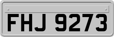 FHJ9273