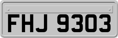 FHJ9303