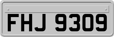 FHJ9309