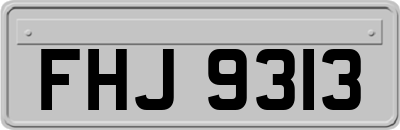 FHJ9313
