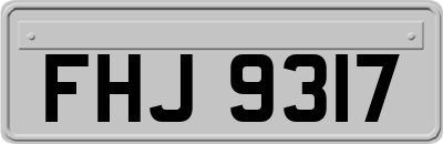 FHJ9317