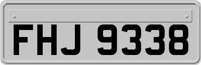FHJ9338