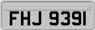 FHJ9391